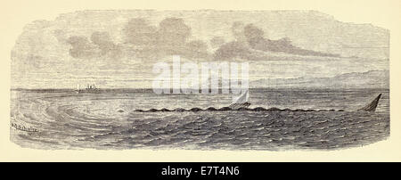 Sea Serpent gesehen vom Dampfer Katie am 31. Mai 1882. Siehe Beschreibung für mehr Informationen. Stockfoto