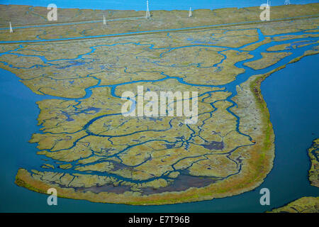 Westpoint Slough und Greco Insel Don Edwards San Francisco Bay National Wildlife Refuge, Redwood City, San Francisco, California Stockfoto