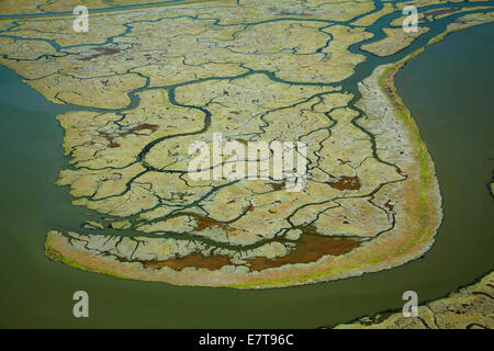 Westpoint Slough und Greco Insel Don Edwards San Francisco Bay National Wildlife Refuge, Redwood City, San Francisco, California Stockfoto