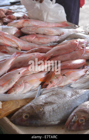 Der schwimmende Markt in Willemstad, Curacao hat eine tägliche Fülle von Insel Obst und Gemüse sowie Anbieter verkaufen frischen Fisch. Stockfoto