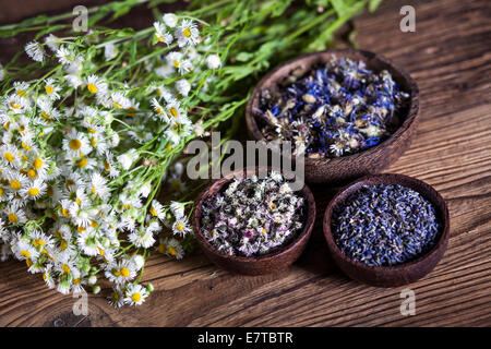 Der alten chinesischen Medizin, Kräuter und Kräutertees Stockfoto