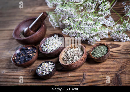 Der alten chinesischen Medizin, Kräuter und Kräutertees Stockfoto