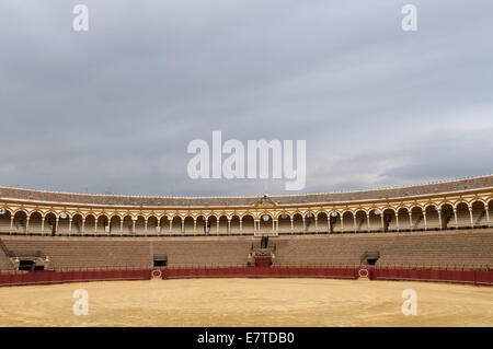 Kämpfende Stierkampfarena in Sevilla Stockfoto