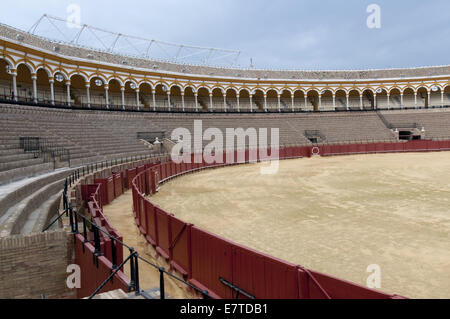 Kämpfende Stierkampfarena in Sevilla Stockfoto