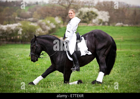 Friesische oder Friesisch Pferd, Hengst, mit einem weiblichen Reiter hoch zu Ross, auf einer Wiese, klassische Dressur