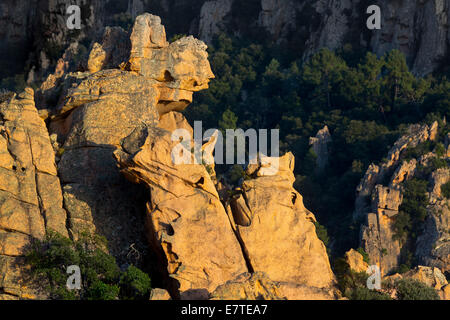 Bizarren Felsformationen Erosionen im Abendlicht, Calanche, Les Calanches de Piana, Corse-du-Sud, Korsika, Frankreich Stockfoto