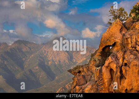 Bizarren Felsformationen Erosionen im Abendlicht, Calanche, Les Calanches de Piana, Corse-du-Sud, Korsika, Frankreich Stockfoto