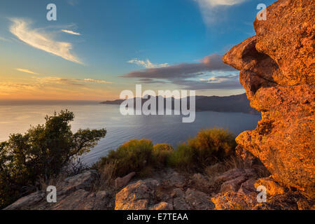 Bizarren Felsformationen Erosionen an den Golf von Porto im Abendlicht, Calanche, Les Calanches de Piana, Corse-du-Sud, Korsika, Frankreich Stockfoto