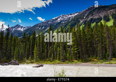 NUMA fällt, Kootenay National Park, Britisch-Kolumbien, Kanada Stockfoto