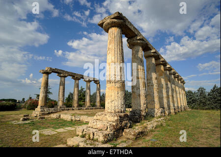 Italien, Basilicata, Metaponto, Tavole Palatin, griechischer Tempel der Hera Stockfoto