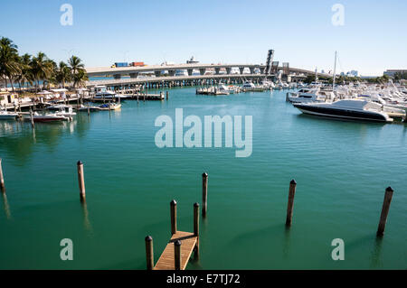 Biscayne Bay Marina in Miami, Florida, USA Stockfoto