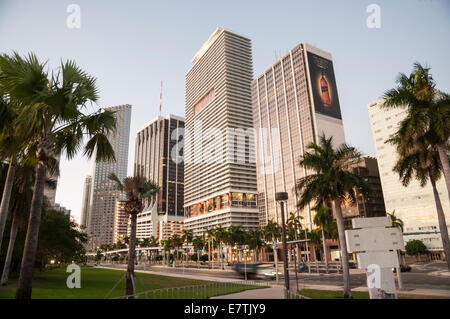 Wolkenkratzer in Miami, Florida, USA Stockfoto