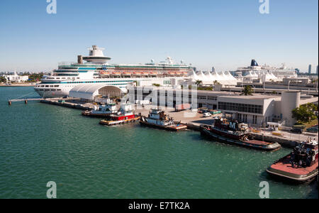 Kreuzfahrt terminal in Miami, Florida, USA Stockfoto