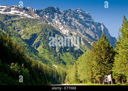 Trans Canadian Highway, Glacier National Park, Britisch-Kolumbien, Kanada Stockfoto