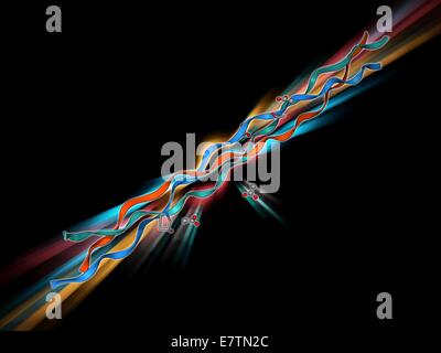 Kollagen-ähnliches Molekül. Molekülmodell zeigt die dreifache schraubenartige Struktur der Kollagen-ähnliches Molekül T3-785. Stockfoto