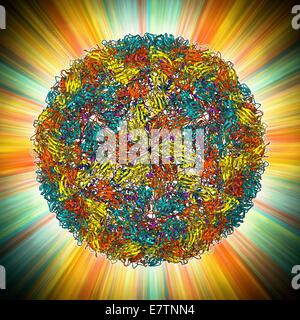 Fuß - und - Klauenseuche-Virus. Molekulares Modell des Fuß - und - Klauenseuche (MKS) Virus (Aphthen Epizooticae) Protein Mantel (Kapsid). MKS betrifft cloven behuften Säugetiere, häufig Rinder und Schweine, und ist sehr ansteckend. Antikörper werden erstellt, indem ein Tier " Stockfoto