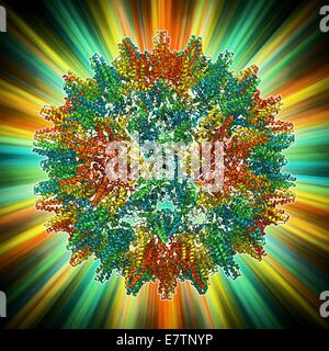 Hepatitis B-Virus-Kapsid, Molekülmodell. Dieses Virus, übertragen durch infizierte Körperflüssigkeiten oder Blut, verursacht die Krankheit Hepatitis B beim Menschen, führt zu akuten Leberentzündung. Viren wird das Kapsid die Protein-Shell, die die Geneti umschließt Stockfoto