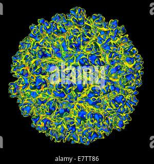 Hepatitis E-Virus, Computer-Grafik. Stockfoto