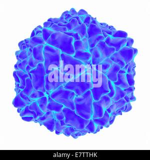 Reis gelb Mottle Virus, Computer-Grafik. Stockfoto