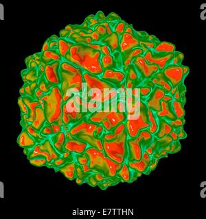 Reis gelb Mottle Virus, Computer-Grafik. Stockfoto