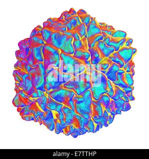 Reis gelb Mottle Virus, Computer-Grafik. Stockfoto