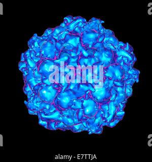 Sat-Panicum-Mosaik-Virus, Computer-Grafik. Stockfoto