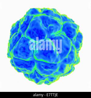 Sat-Tabak Nekrose Virus, Computer-Grafik. Stockfoto