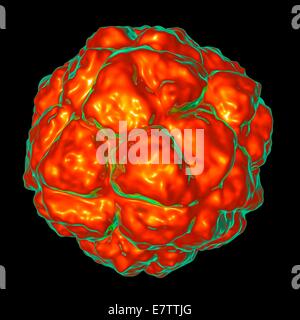 Sat-Tabak Nekrose Virus, Computer-Grafik. Stockfoto