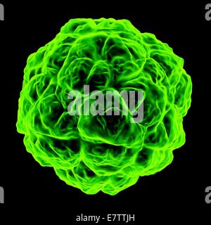 Sat-Tabak Nekrose Virus, Computer-Grafik. Stockfoto