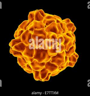 Tabak Ringspot Virus, Computer-Grafik. Stockfoto