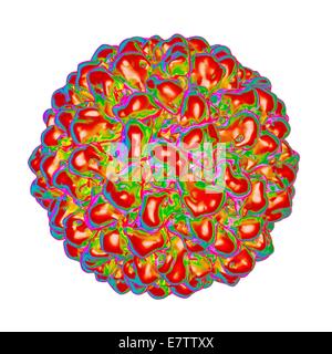 Tomate Aspermy Virus, Computer-Grafik. Stockfoto