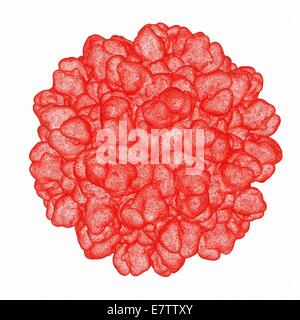 Tomaten buschigen Stunt Virus, Computer-Grafik. Stockfoto