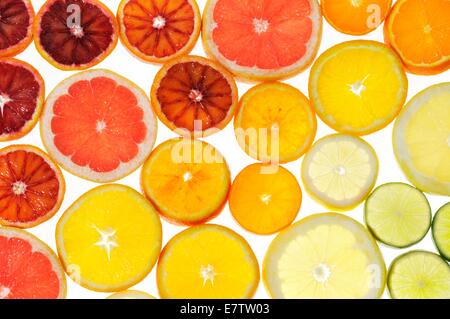 Scheiben von Zitrusfrüchten, Studio gedreht. Stockfoto