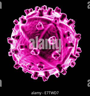 Human Immunodeficiency Virus (HIV), Computer-Grafik. Stockfoto