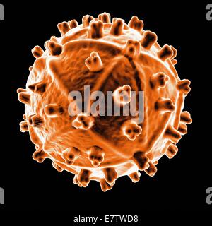 Human Immunodeficiency Virus (HIV), Computer-Grafik. Stockfoto