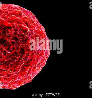 Menschliche t-Zelle Leukämie Virus, Computer-Grafik. Stockfoto