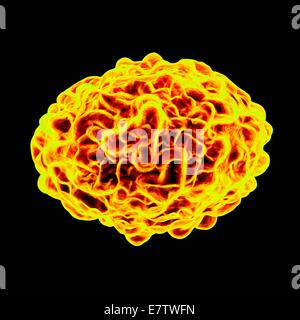 Pockenvirus, Computer-Grafik. Stockfoto