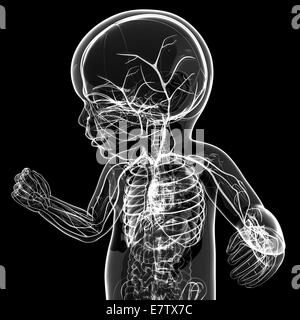 Baby Nervensystem, Computer-Grafik. Stockfoto