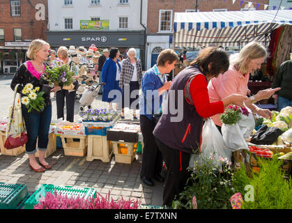 Menschen kaufen Blumen und Gemüse an einem Marktstand in Ludlow Shropshire, England Stockfoto