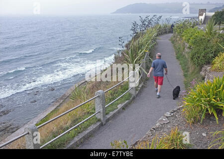 Ein Mann geht seinen Hund entlang der Strandpromenade in Falmouth, Cornwall Stockfoto