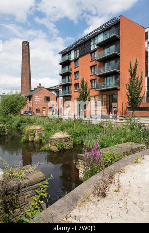 Kelham Insel Quartier in Sheffield einmal industrieller Teil der Stadt jetzt mit modernen trendigen Wohnungen und Apartments regeneriert Stockfoto