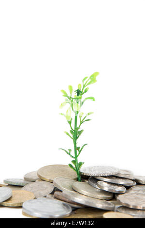 Grüne Pflanze wächst zwischen Münzen aus verschiedenen Ländern der Welt, isoliert auf weißem Hintergrund. Stockfoto
