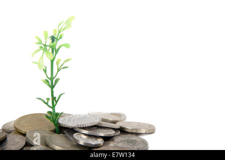 Grüne Pflanze wächst zwischen Münzen aus verschiedenen Ländern der Welt, isoliert auf weißem Hintergrund. Stockfoto