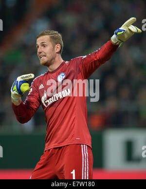 Bremen, Deutschland. 23. Sep, 2014. Schalke Torwart Ralf Faehrmann in Aktion während der Bundesliga-Fußballspiel zwischen Werder Bremen und FC Schalke 04 am Weserstadium in Bremen, Germany, 23. September 2014. Bildnachweis: Dpa picture Alliance/Alamy Live News Stockfoto