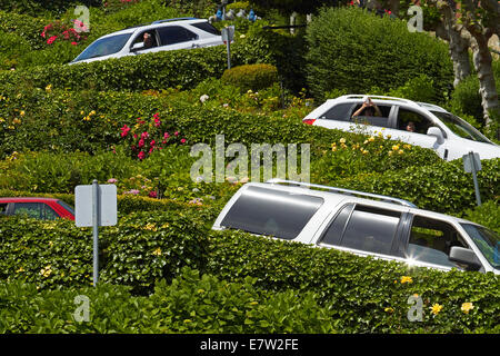 Fahrzeuge fahren auf Lombard Street (kurvenreichsten Straßen der Welt), Russian Hill Viertel, San Francisco, Kalifornien, USA Stockfoto