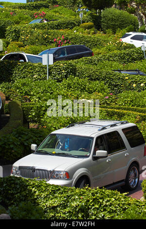 Fahrzeuge fahren auf Lombard Street (kurvenreichsten Straßen der Welt), Russian Hill Viertel, San Francisco, Kalifornien, USA Stockfoto