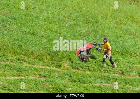 Ein Schweizer Bauern Heuernte auf der steil abfallenden Wiese, mit einem kleinen mechanischen Mäher Stockfoto