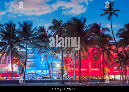 MIAMI, FLORIDA - 24. Januar 2014: Palmen säumen Ocean Drive. Die Straße ist die Hauptverkehrsstraße durch South Beach. Stockfoto