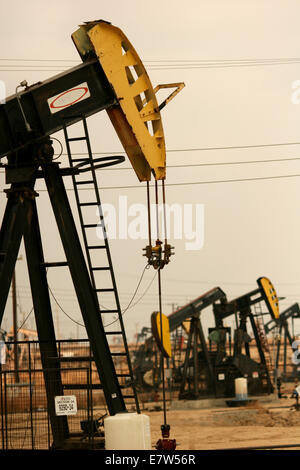 Voll Pumpjacks bei der Arbeit in einem Ölfeld California Stockfoto