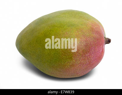 Mango-Frucht in weißem Rücken mit Schatten und Clipping-Pfad Stockfoto